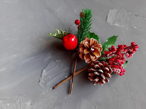 Zweig Mit Roten Beeren Auf Grauem Hintergrund Herbst — Stockfoto