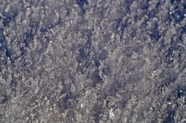 Snow Crystals Macro Shallow Depth Field Suitable Header Banner — Stock Photo, Image