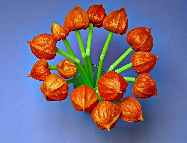 Glas mit grünem Plastikstroh und orangefarbenen Physalis-Früchten. — Stockfoto