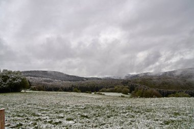Mayıs, Almanya'da Eifel ilkbaharda kar yağışı