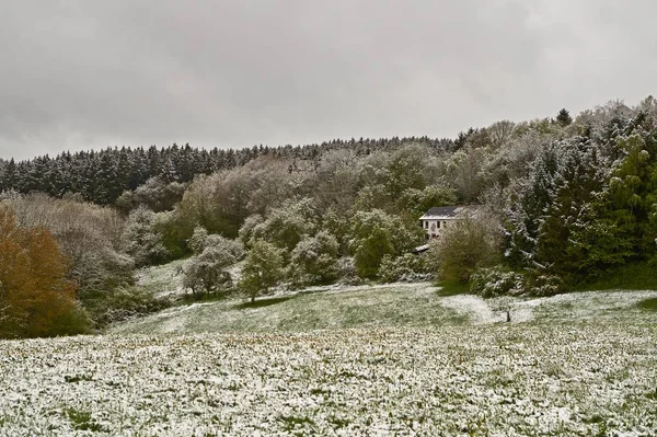 May, snowfall in spring in the Eifel in Germany — Stock Photo, Image
