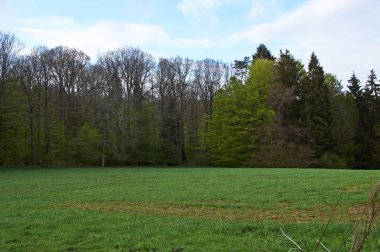 Eifel, Almanya'nın etek tepelerinde yer alan küçük bir köy.