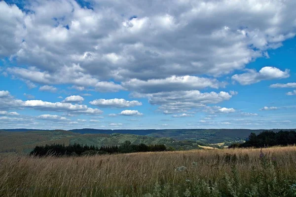 Letní krajina v Eifelu v Německu. — Stock fotografie