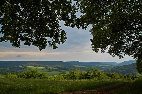 Letní krajina v Eifelu v Německu. — Stock fotografie