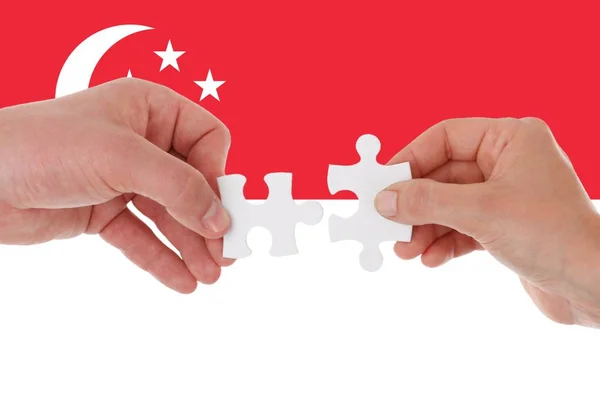 Flagge der Singapore, Integration einer multikulturellen Gruppe junger Menschen — Stockfoto