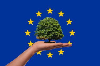 Avrupa bayrağı, çok kültürlü bir grup gençlerin kesişme