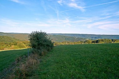 Almanya'da Eifel'de yaz manzarası çekildi.