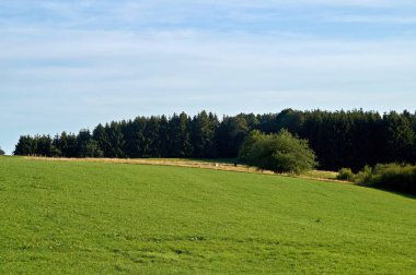 Almanya'da Eifel'de yaz manzarası çekildi.