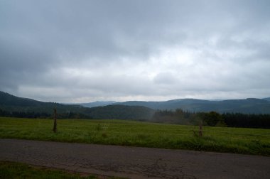 Akarik amanita muscaia mantar detayı ormandaki sonbahar mevsimsel zehirli.