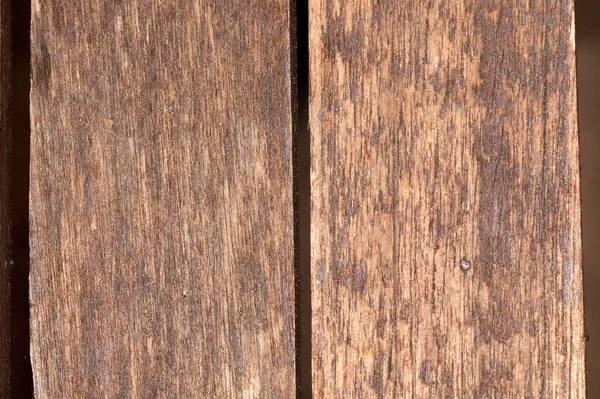 Material de madera de la naturaleza, ideal como fondo, textura y patrón — Foto de Stock