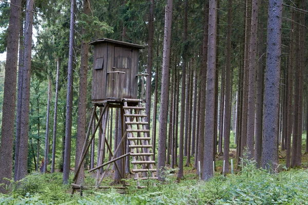 Wieża myśliwska High Seat Hunters w wiejskim krajobrazie, Niemcy — Zdjęcie stockowe