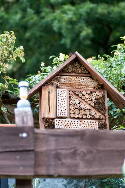 Um hotel de abrigo de abelhas e insetos selvagens — Fotografia de Stock