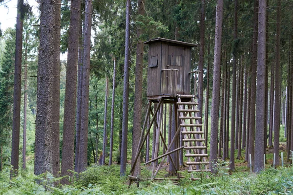 ドイツの田舎の田園風景の中に木製のハンターハイシート狩猟塔 — ストック写真