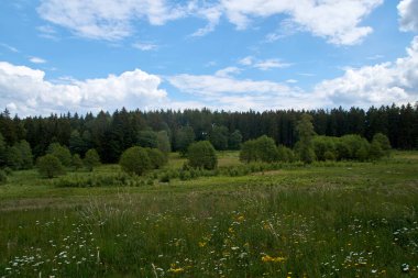 Vulkaneifel, Almanya 'daki manzaranın panoramik bir fotoğrafı.