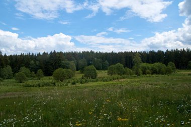 Vulkaneifel, Almanya 'daki manzaranın panoramik bir fotoğrafı.
