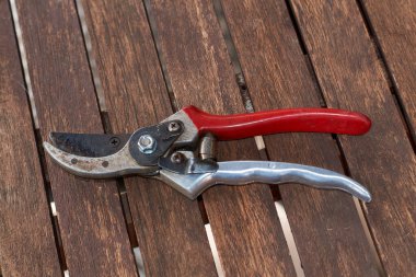 Tahta bir masada yatan bir çift mezhep üyesi.