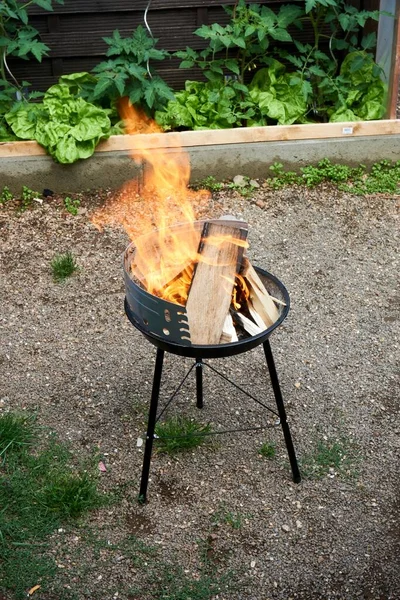 Barbecue Grill Met Vuur Natuur Buiten Close — Stockfoto