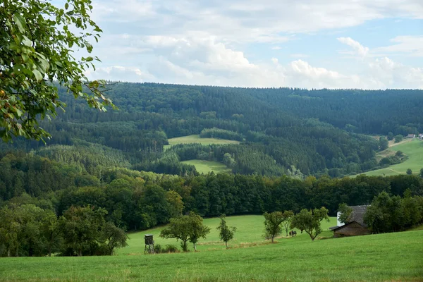 Podzimní krajina s barevnými stromy v blízkosti Daun, Eifel — Stock fotografie