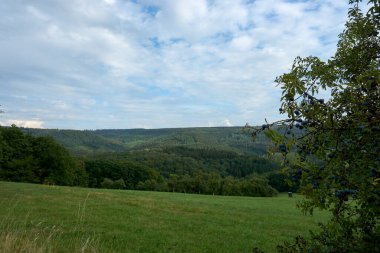 Daun, Eifel yakınlarındaki renkli ağaçlarla sonbahar manzarası