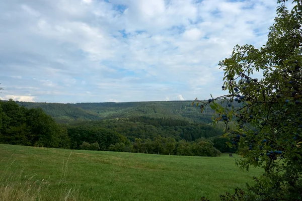 Daun, Eifel yakınlarındaki renkli ağaçlarla sonbahar manzarası