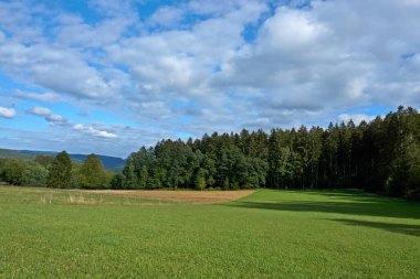 Daun, Eifel yakınlarındaki renkli ağaçlarla sonbahar manzarası.