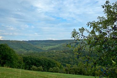 Daun, Eifel yakınlarındaki renkli ağaçlarla sonbahar manzarası.