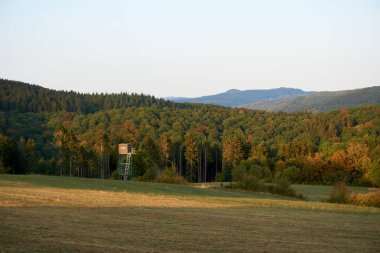 Daun, Eifel yakınlarındaki renkli ağaçlarla sonbahar manzarası.