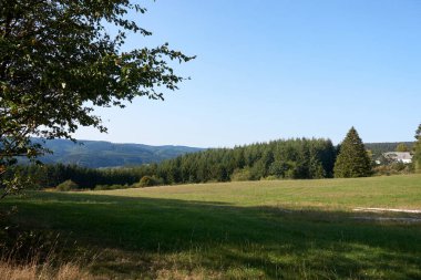 Daun, Eifel yakınlarındaki renkli ağaçlarla sonbahar manzarası.