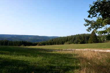 Daun, Eifel yakınlarındaki renkli ağaçlarla sonbahar manzarası.