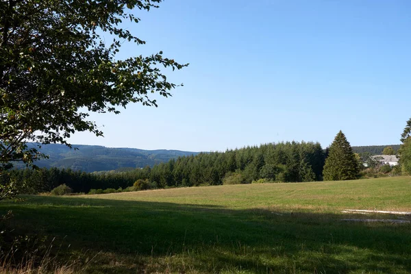 Herbstlandschaft Mit Bunten Bäumen Bei Daun Eifel — Stockfoto