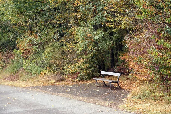 Paisaje Otoño Con Árboles Colores Cerca Daun Eifel — Foto de Stock