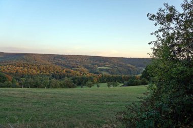 Daun, Eifel yakınlarındaki renkli ağaçlarla sonbahar manzarası.