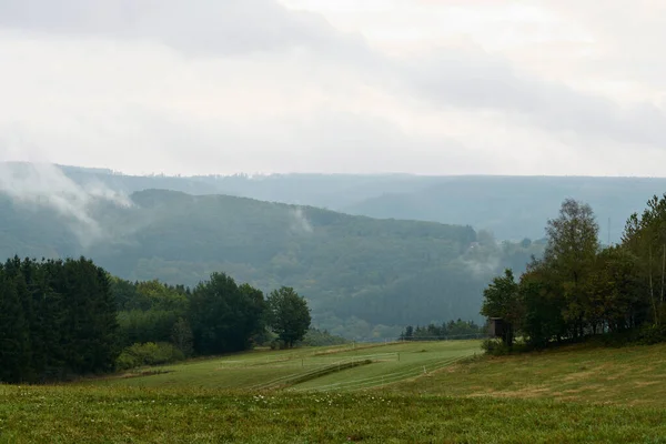 Primer plano del bosque de niebla mística. Niebla y nubes colgantes bajas moviéndose a través de árboles. —  Fotos de Stock