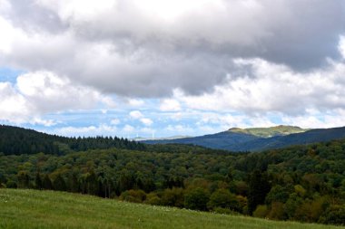 Daun, Eifel yakınlarındaki renkli ağaçlarla sonbahar manzarası