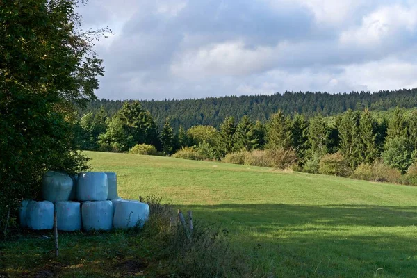 Höst landskap med färgglada träd nära Daun, Eifel — Stockfoto