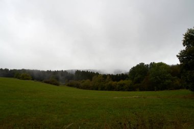 Gizemli sis ormanının yakınındayız. Sis ve alçak asılı bulutlar ağaçların arasında hareket ediyor