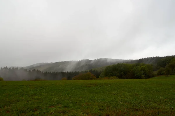 Primo Piano Della Mistica Foresta Nebbia Nebbia Basse Nuvole Pendenti Immagine Stock