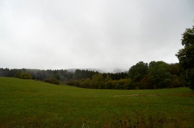 Gizemli sis ormanının yakınındayız. Sis ve alçak asılı bulutlar ağaçların arasında hareket ediyor