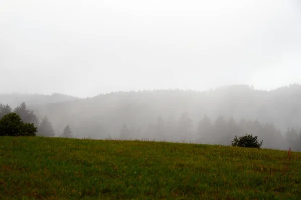 Nahaufnahme Von Mystischem Nebelwald Nebel Und Tief Hängende Wolken Ziehen — Stockfoto