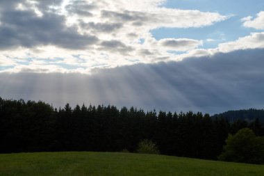Gün batımında dramatik gökyüzünde bir ışık huzmesi kırılır ve yapayalnız bir meşe ağacına çarpar..
