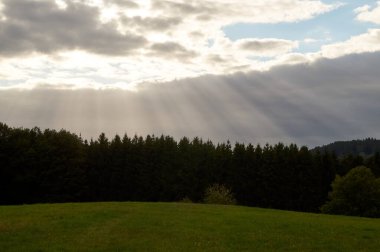 Gün batımında dramatik gökyüzünde bir ışık huzmesi kırılır ve yapayalnız bir meşe ağacına çarpar..