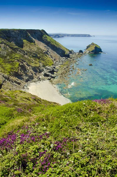 Egy Szép Napsütéses Nap Beszközök Öbölben Cornwall Anglia — Stock Fotó