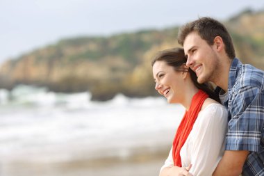 Side view portrait of a happy couple hugging and looking at horizon on the beach clipart