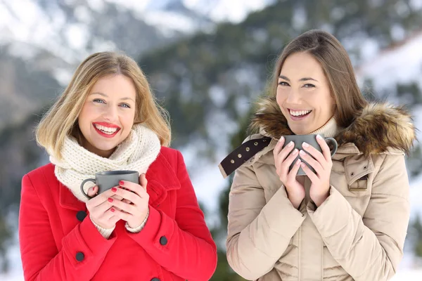 Vista Frontal Retrato Dois Amigos Posando Inverno Olhando Para Câmera — Fotografia de Stock