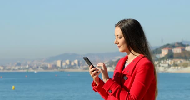 Retrato Vista Lateral Uma Mulher Excitada Usando Telefone Inteligente Praia — Vídeo de Stock