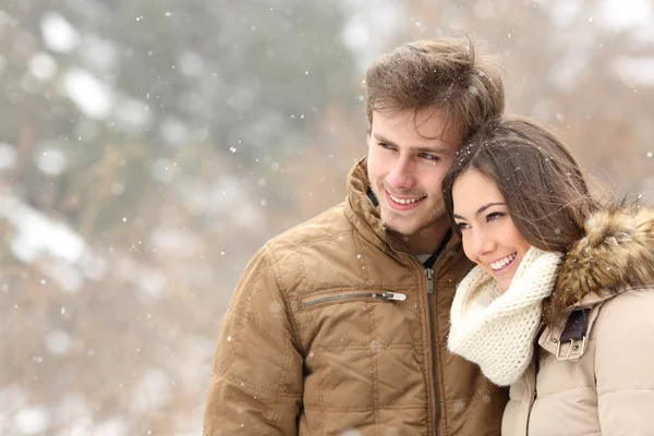 Happy Couple Falling Love Looking Away Snowy Winter — Stock Photo, Image