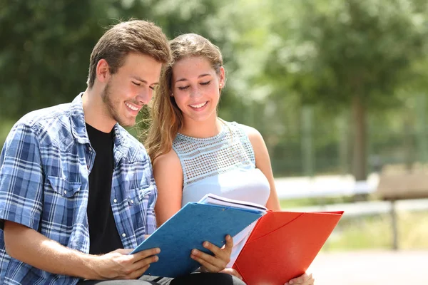 Par Estudiantes Felices Estudiando Juntos Sentados Campus — Foto de Stock