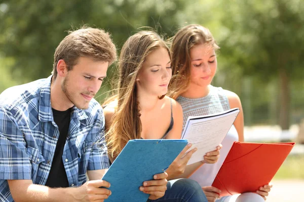 Três Estudantes Concentrados Memorizando Notas Sentadas Parque Campismo — Fotografia de Stock