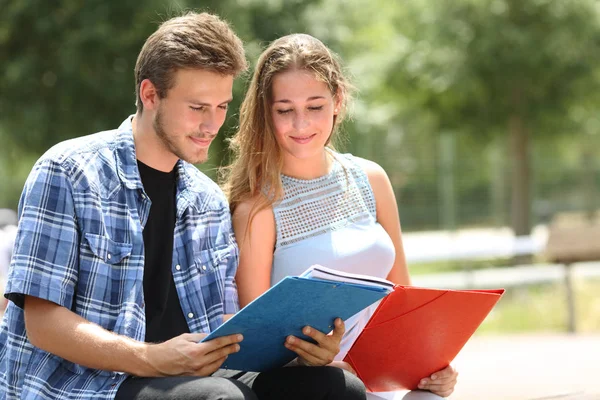 Dois Estudantes Concentrados Estudando Juntos Lendo Notas Parque Campismo — Fotografia de Stock