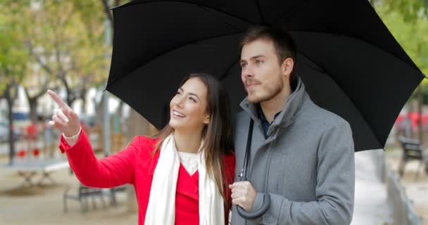 カメラに向かって 冬の雨の下でさして幸せなカップルの正面図 — ストック動画